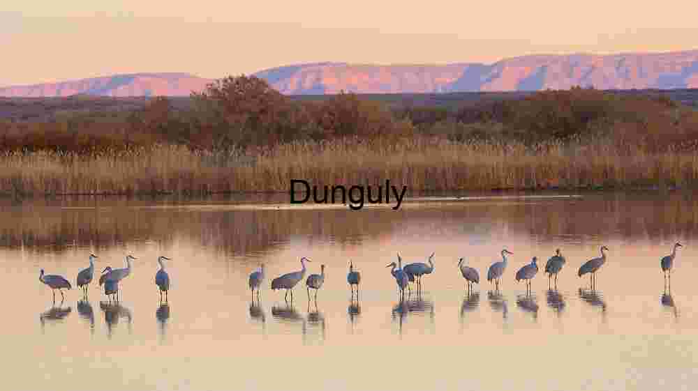 Cranes with, magenta hill, reflections | Cloud Patterns over Bosque del Apache