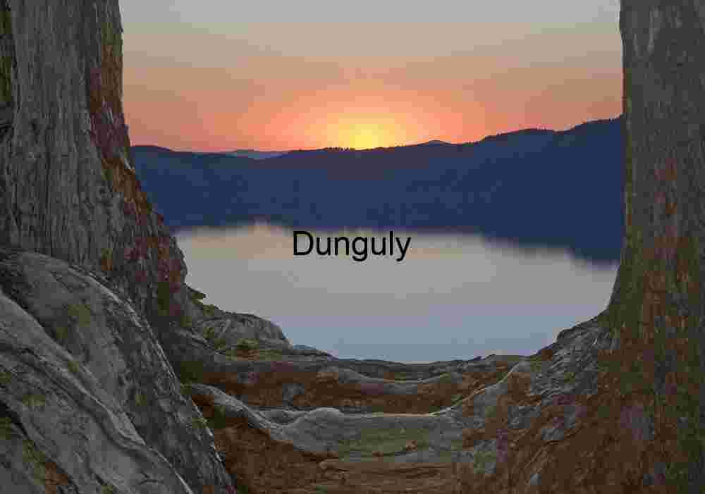 Crater Lake, sunrise through tree U | Pumice Desert Abstract Landscape