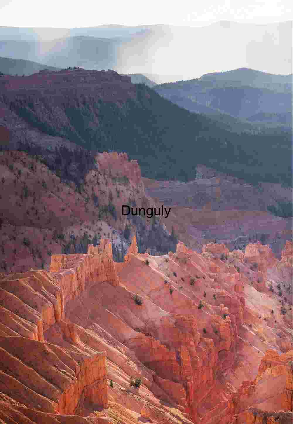 Crennelations, Cedar Breaks N.M.