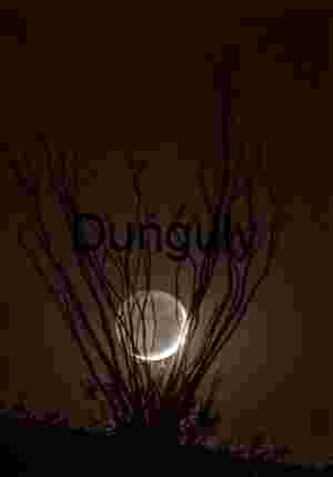 Earthlight Moon Setting Behind Ocotillo - Desert Night Art