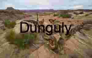 Maze Overlook Dead Tree in Canyonlands National Park, Utah