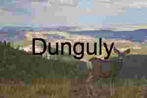 Deer | Golden Yellow Trees & Lake