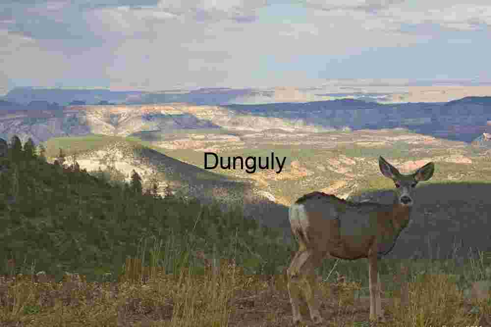 Deer | Golden Yellow Trees & Lake