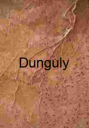 Dendritic rock pattern, Cottonwood, Coyote Buttes South