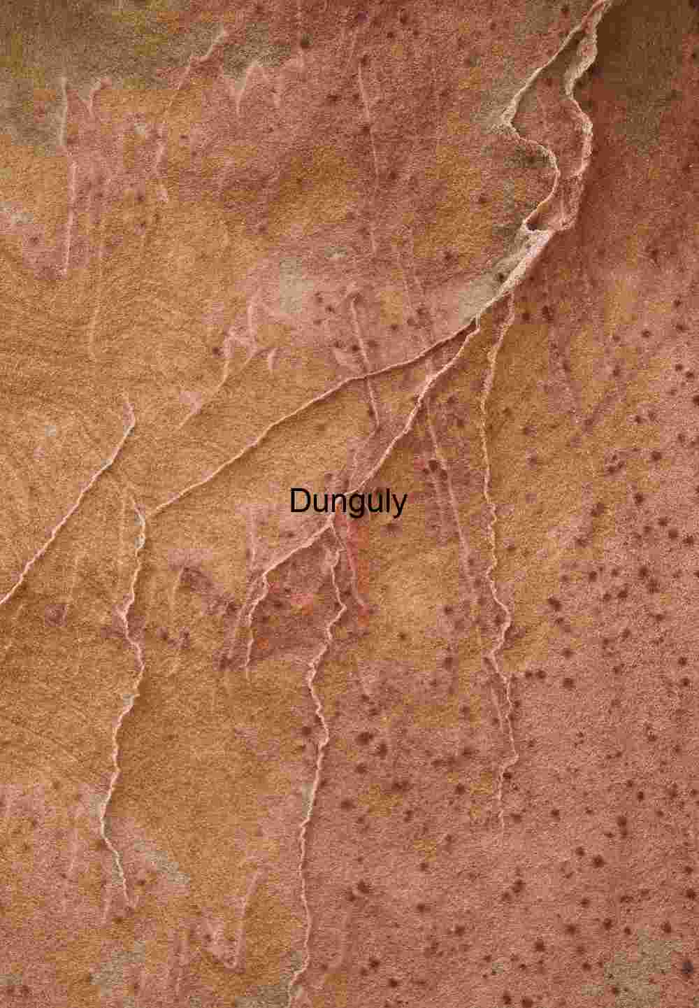 Dendritic rock pattern, Cottonwood, Coyote Buttes South