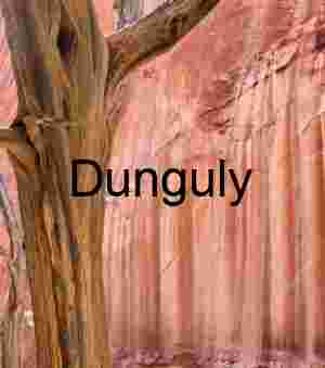Desert varnish and tree texture, Escalante National Monument