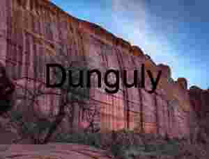 Desert varnish stripes, Horse Canyon; Escalante National Monument