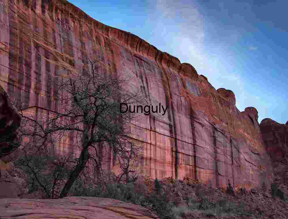 Desert varnish stripes, Horse Canyon; Escalante National Monument
