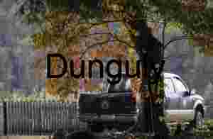 Early Fall Color, Pickup Truck, Rustic American Garden