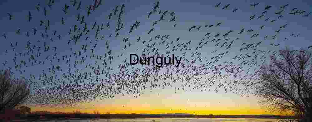 Bosque del Apache Geese Blastoff at Sunrise Panorama