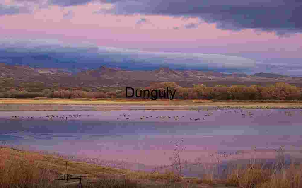 Bosque del Apache Sunrise: Pink and Purple Wetland Dawn