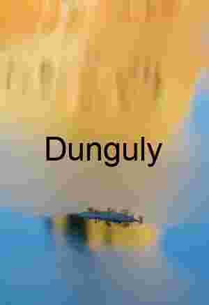 Abstract Reflection of Island in Gold and Blue Water