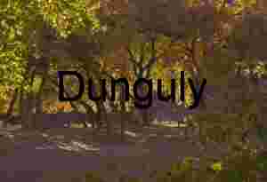 Autumn Path and Golden Trees: Desert Riparian Fall Colors