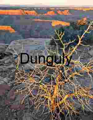 First Light Above Moki Dugway: Golden Sunrise on Utah Canyon