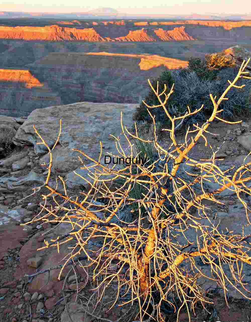 First Light Above Moki Dugway: Golden Sunrise on Utah Canyon