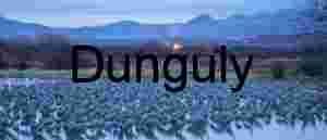 First Light Roost: Sandhill Cranes at Ladd Gordon Complex