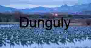 Sandhill Cranes at Dawn on Pond – Ladd Gordon Waterfowl