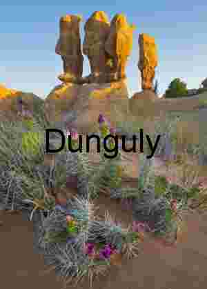 Four kings and flowering prickly pear, Devil's Garden, Escelante, Grand Staircase N.M.