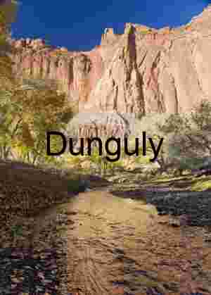 Fremont River reflections