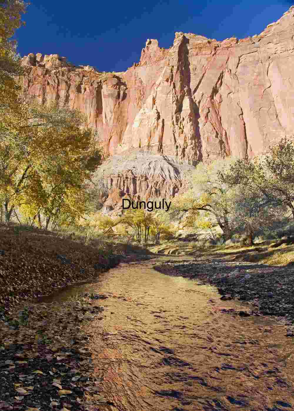 Fremont River reflections