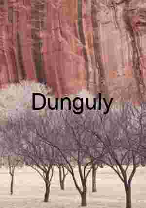 Fruita orchard in winter