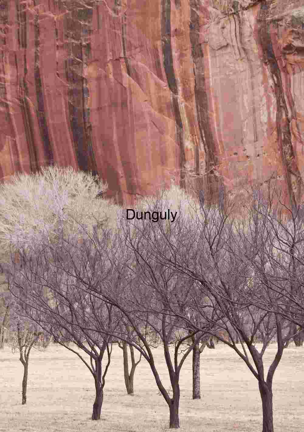 Fruita orchard in winter