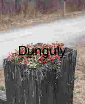 Gate post flowers; GAP trail