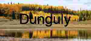 Close- Glowing aspens, Long Lake, Boulder Mountain