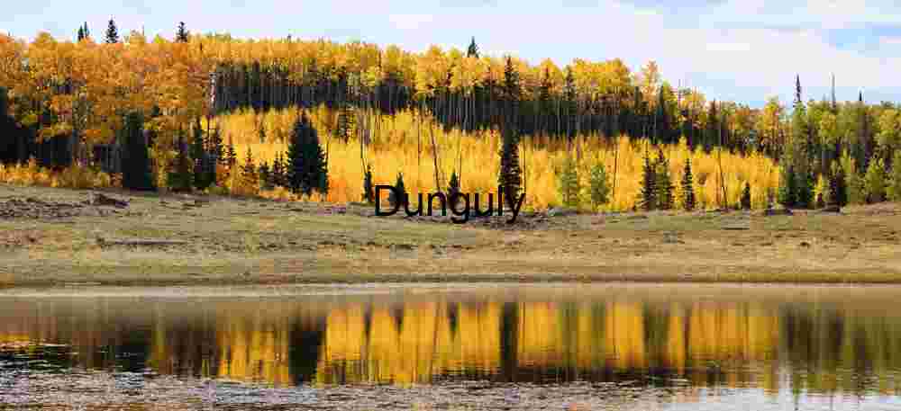 Close- Glowing aspens, Long Lake, Boulder Mountain