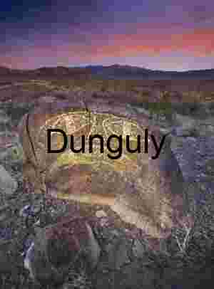 Goggle-eyed glyph, petroglyph, Three Rivers