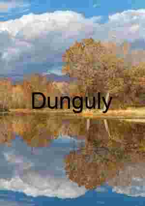 Golden Cottonwoods: Autumn Reflection at Bosque del Apache