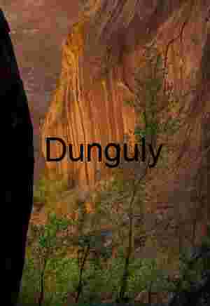 Golden streaked wall, Escalante, Grand Staircase N.M., Utah