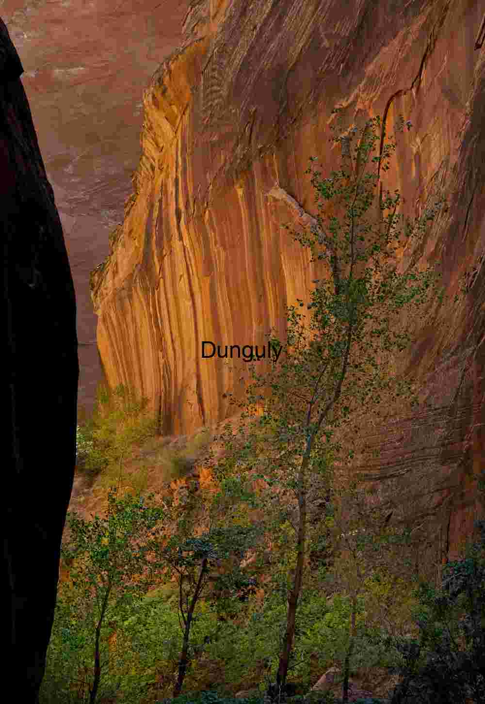 Golden streaked wall, Escalante, Grand Staircase N.M., Utah