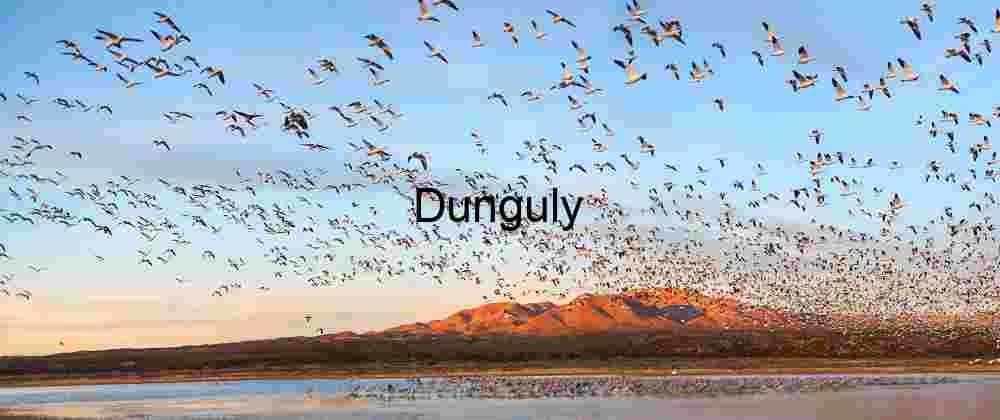 Snow Goose Blast-Off Panorama: Bosque del Apache Sunset