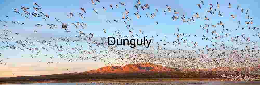 Close- Snow Goose Blast-Off Panorama: Bosque del Apache Sunset