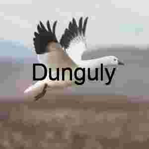 Snow Goose in Flight with Water Droplets, Bosque del Apache