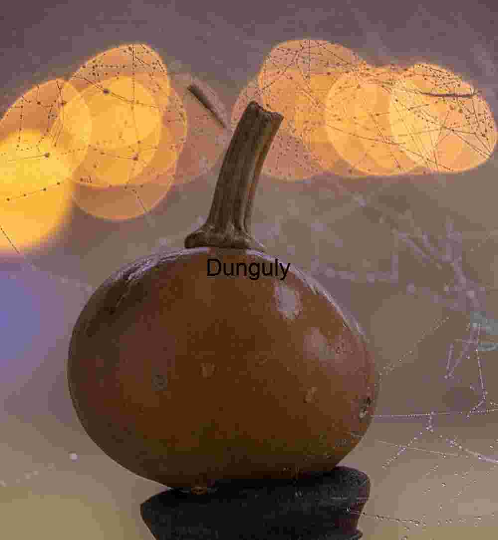 Foggy Gazebo Still Life: Pots, Gourds & Autumn Crafts