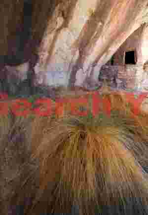 Golden Grasses and Agricultural Structures in Rural Landscape
