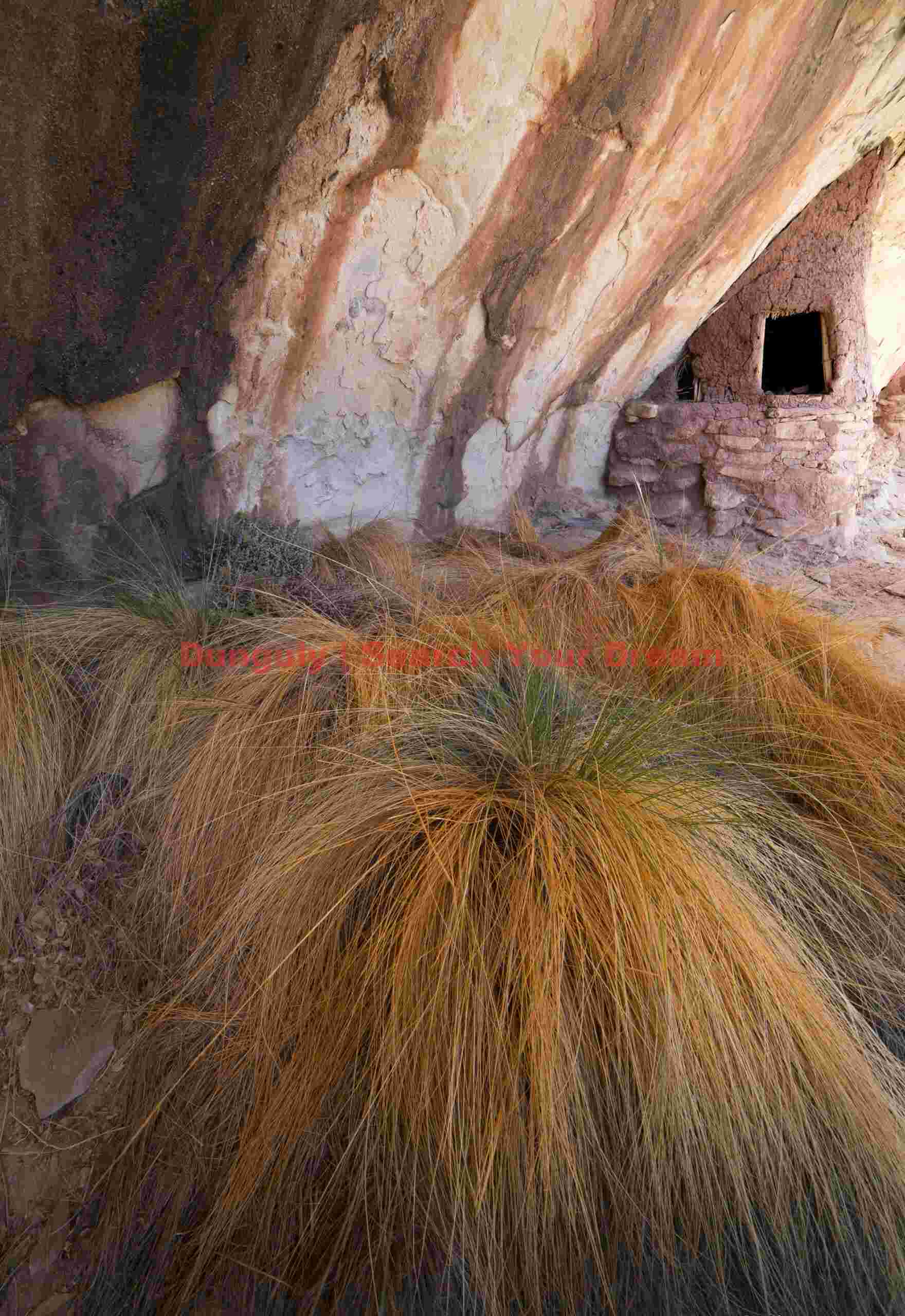 Golden Grasses and Agricultural Structures in Rural Landscape