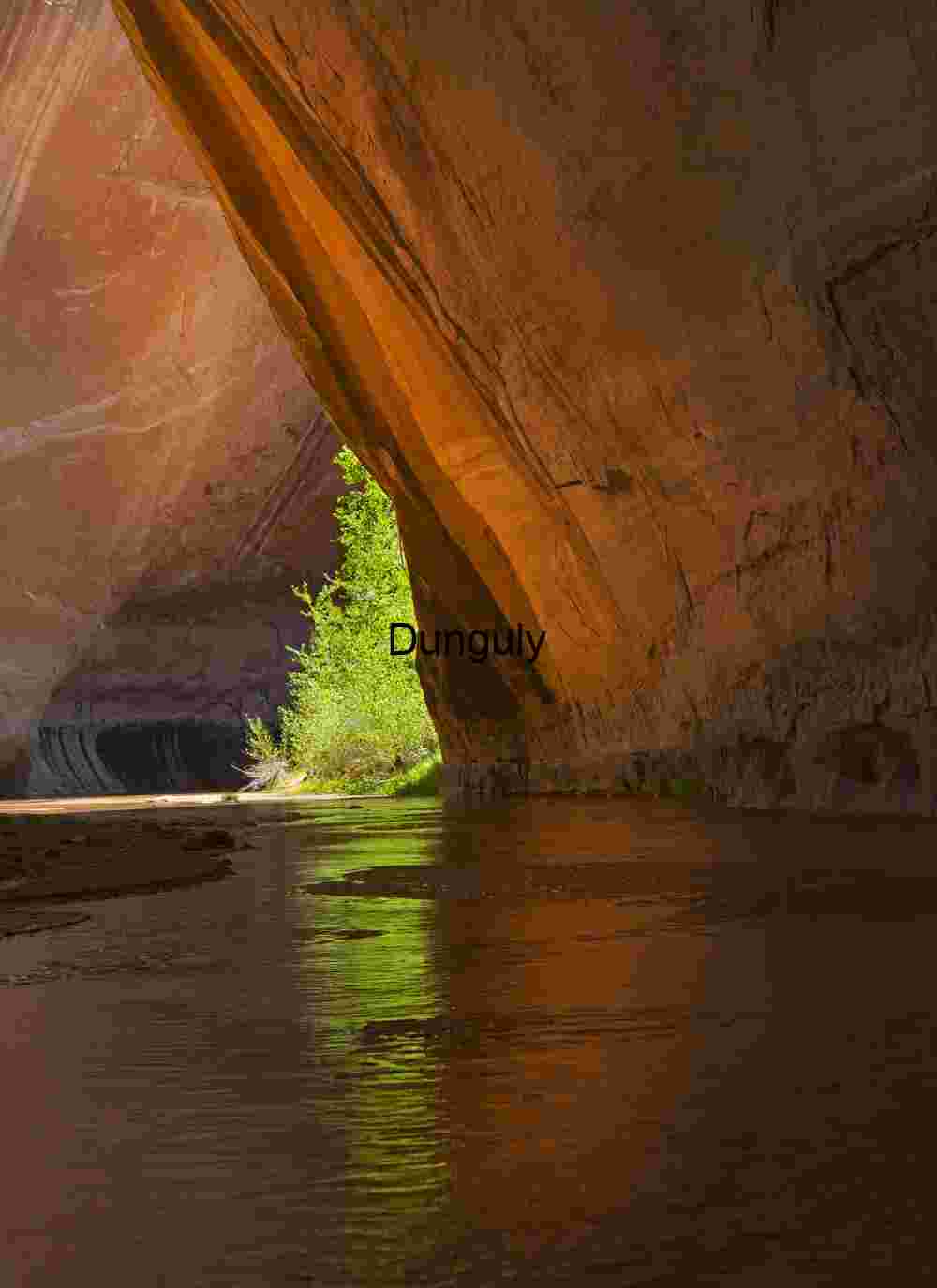 Green and gold reflections, Coyote Gulch, Escalante, Grand Staircase N.M., Utah