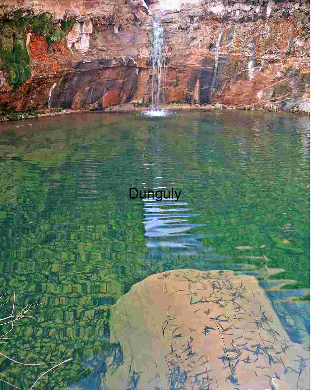 This is a stunning image with rich colors and textures