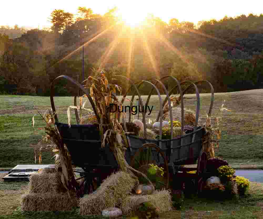 Autumn Sunstar Wagon at Folk School - Fall Harvest