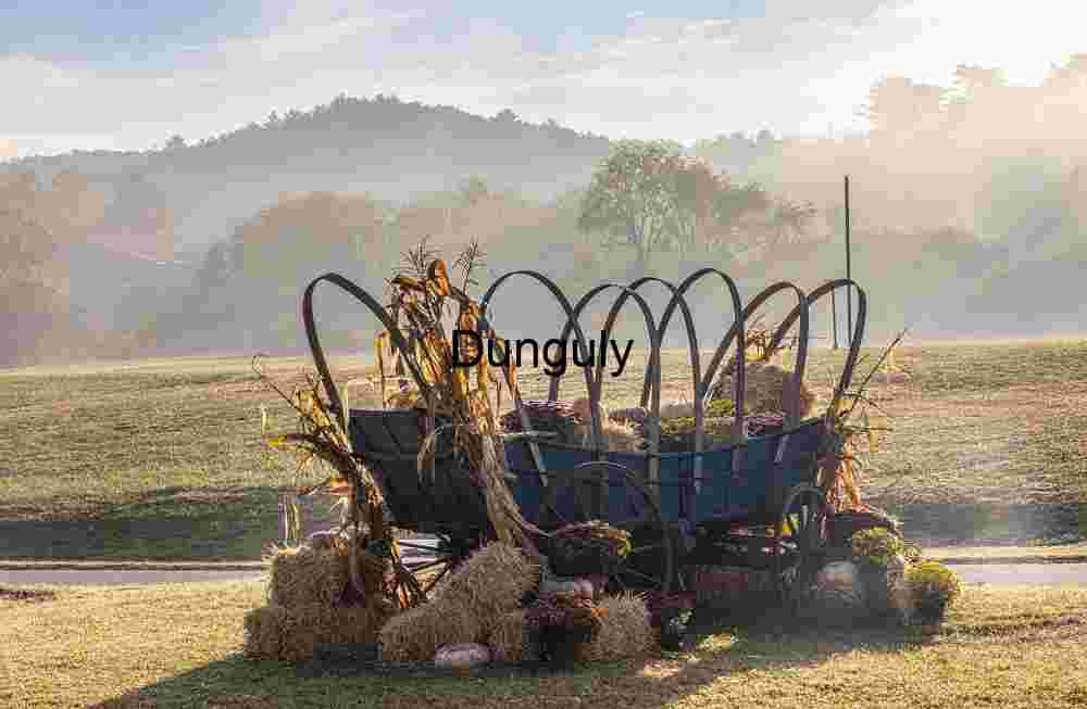 Hay waggon with misty backdrop; John C. Campbell Folk School