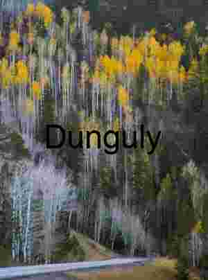 Highway 12 on Boulder Mountain