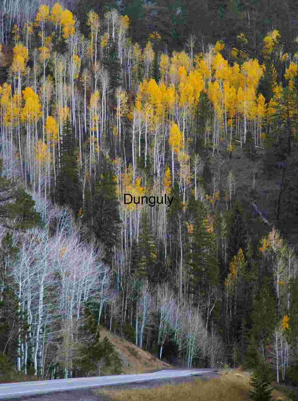 Highway 12 on Boulder Mountain