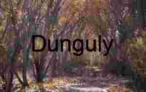 Autumnal Path in Bosque del Apache Woods