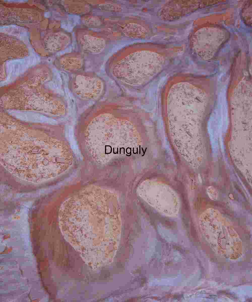 Islands in the salt wash