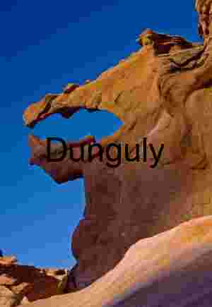 Jaws | Salt Wash Patterns & Organic Shapes