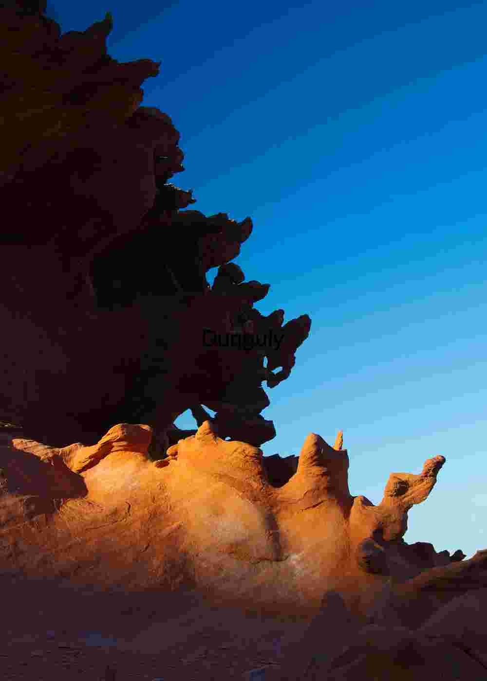 Knobbles | Abstract Earth Texture