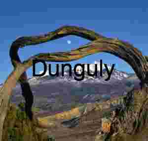 La Sal Mountains Winter Moon through Driftwood Frame, Utah